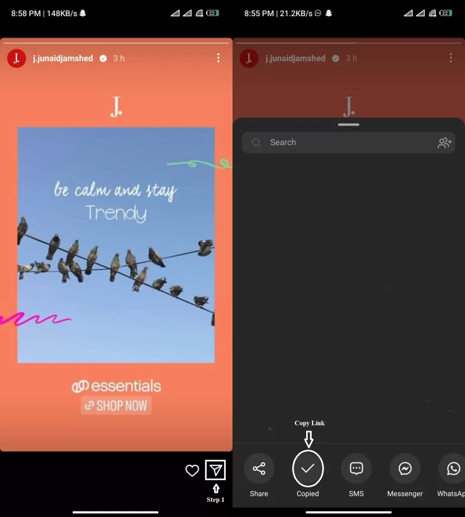 Instagram Story Download