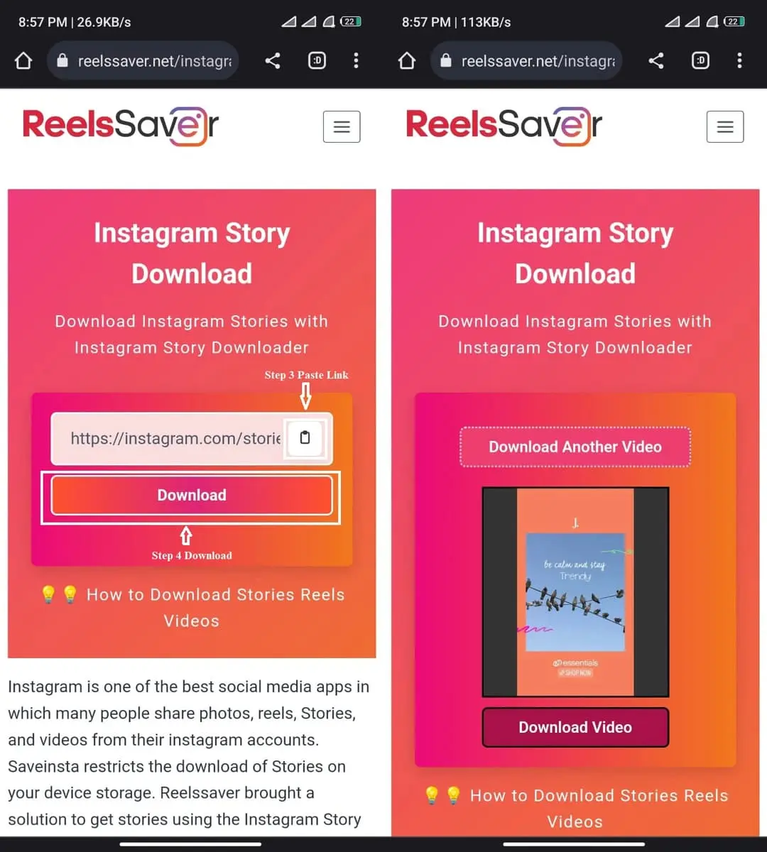 Instagram Story Downloader